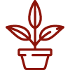 pflanze Icon
